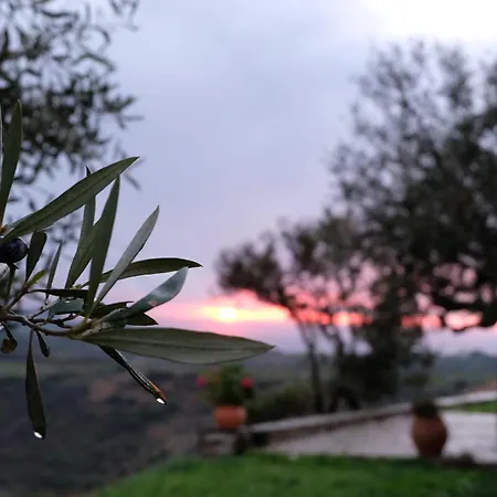 Country house Aetovigli Foiniki