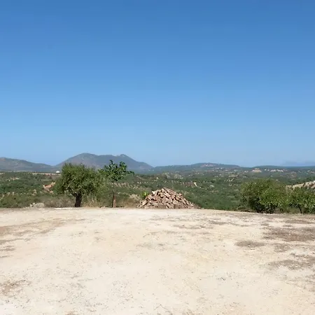 Aetovigli *